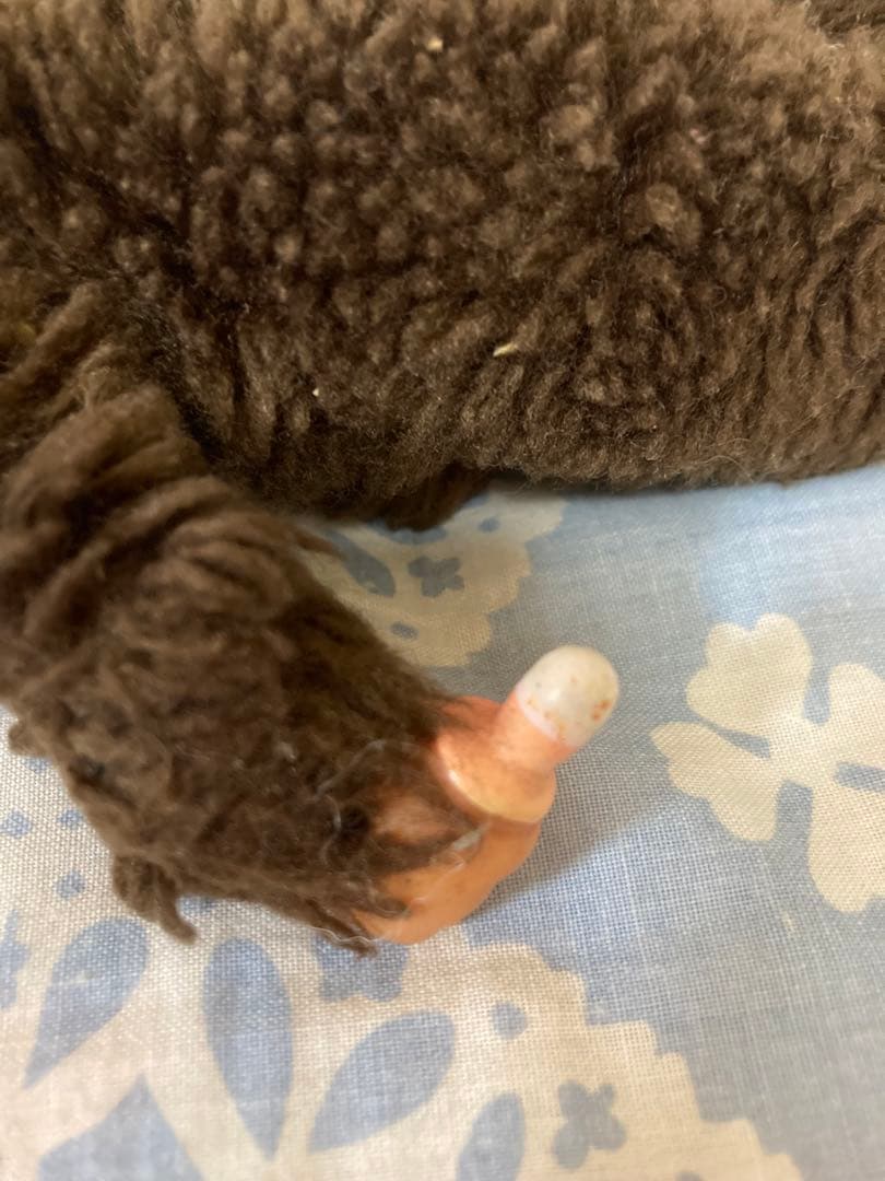 セキグチ Sekiguchiクマ くまたん レトロ カタカナ