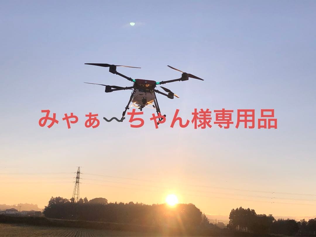 みゃぁ〰️ちゃん品