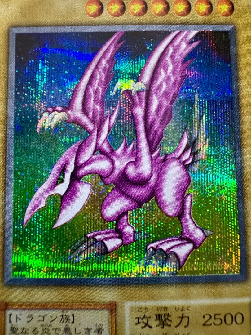 グ*♪様 ☆ホーリー・ナイト・ドラゴン（初期）