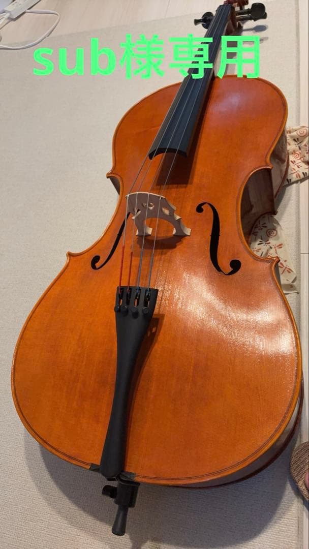 チェロ　Carlo Giordano SC-300
