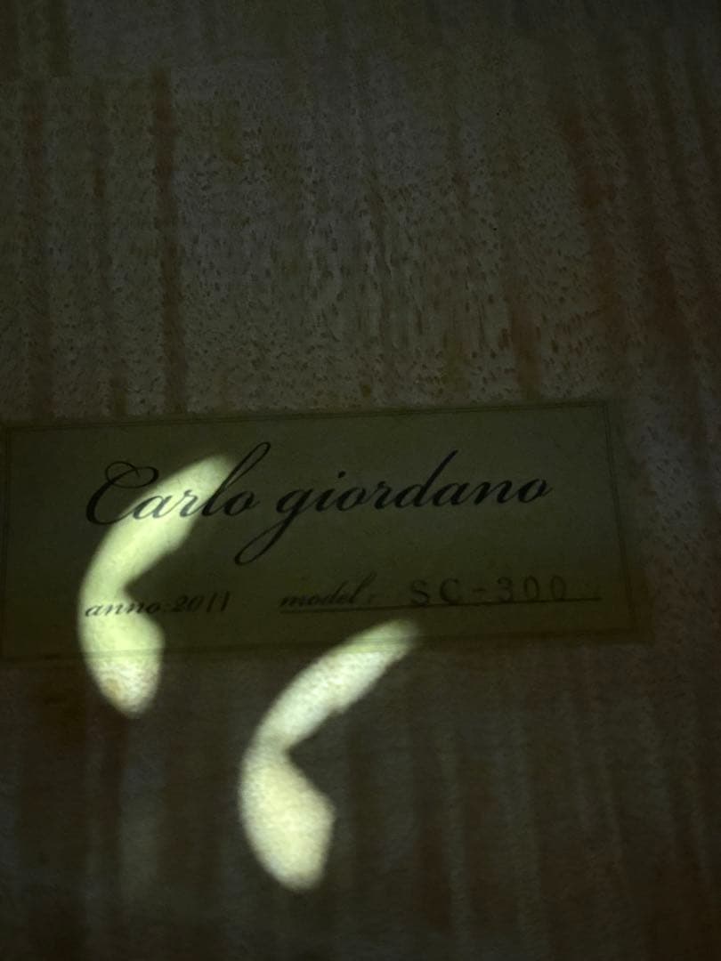 チェロ　Carlo Giordano SC-300