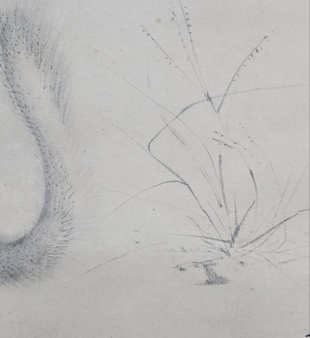 【リス図】永田春水 2602 栗鼠　掛け軸　肉筆