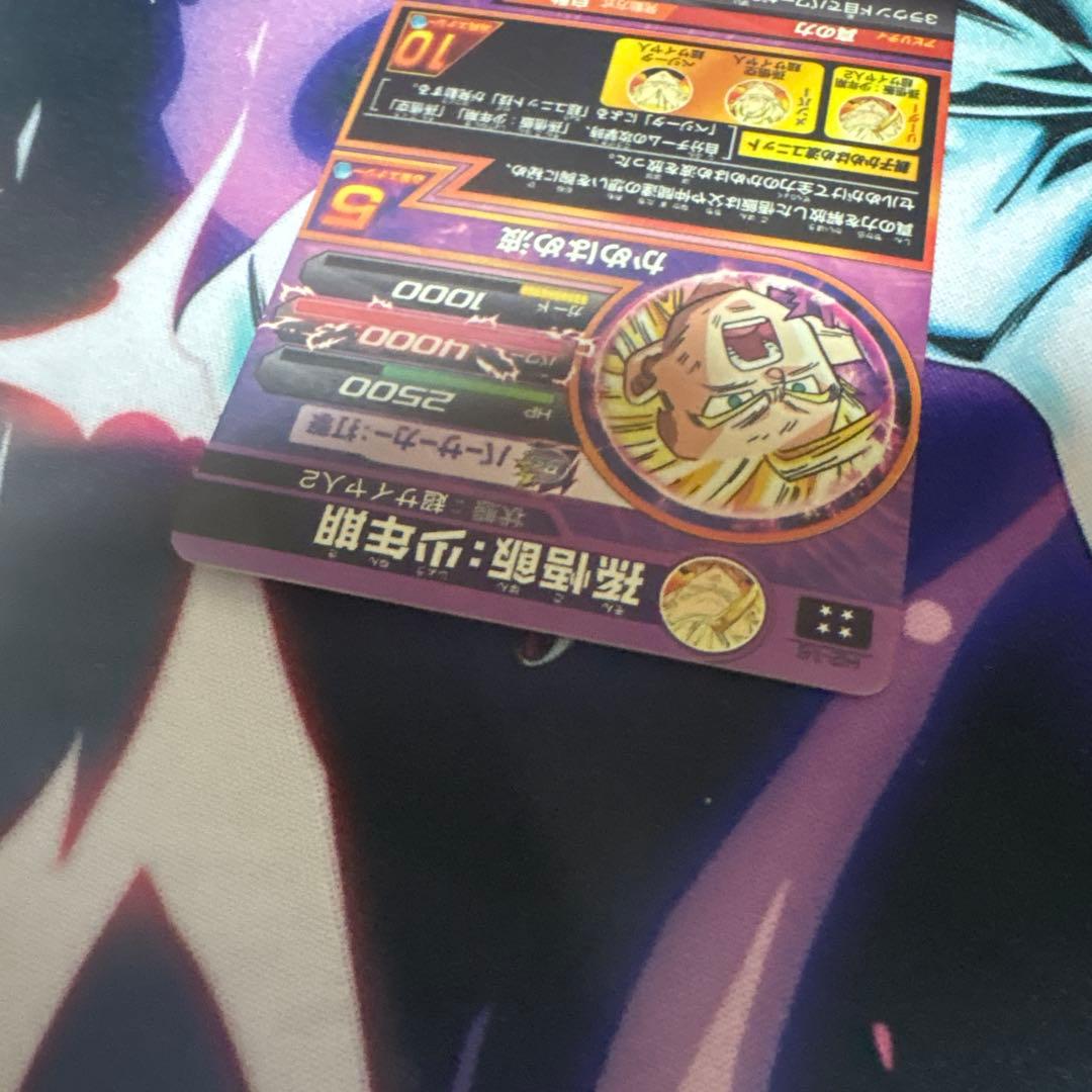 ドラゴンボールヒーローズ　孫悟飯:少年期h2-16