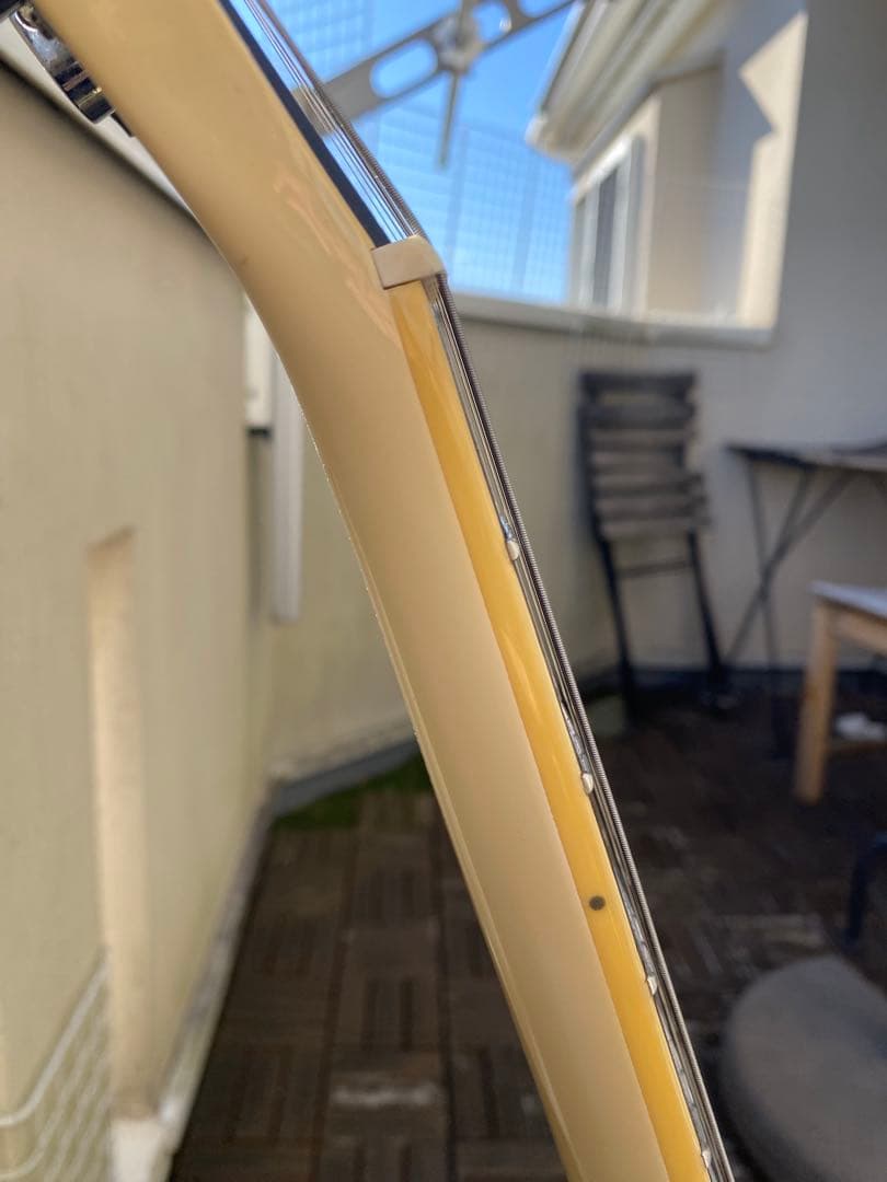 レスポールタイプ(エレキギター)