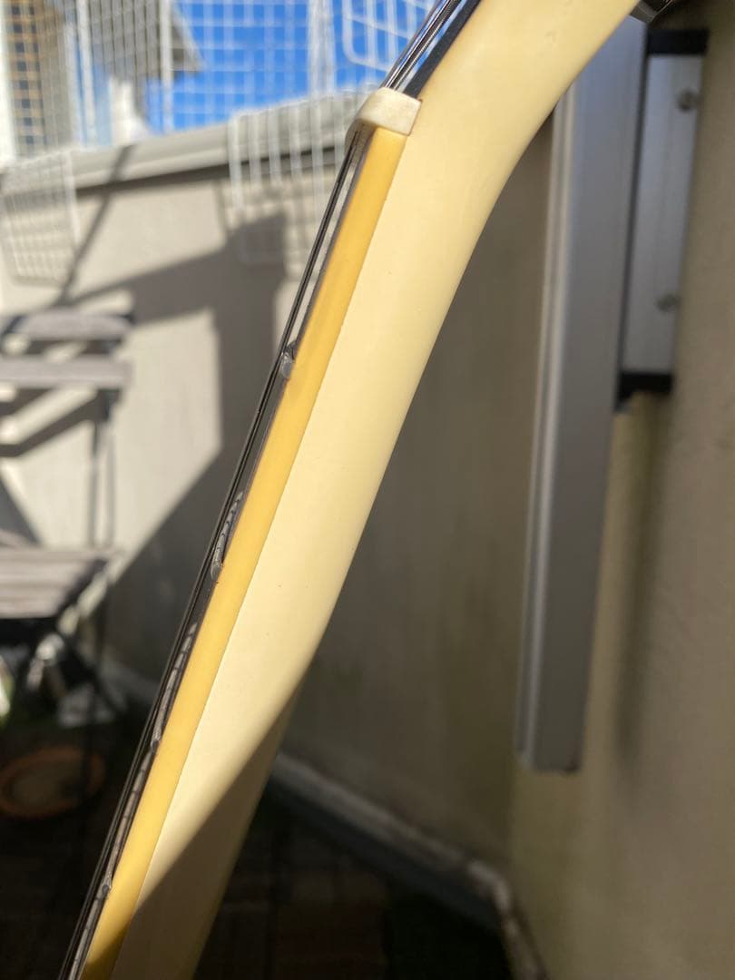 レスポールタイプ(エレキギター)