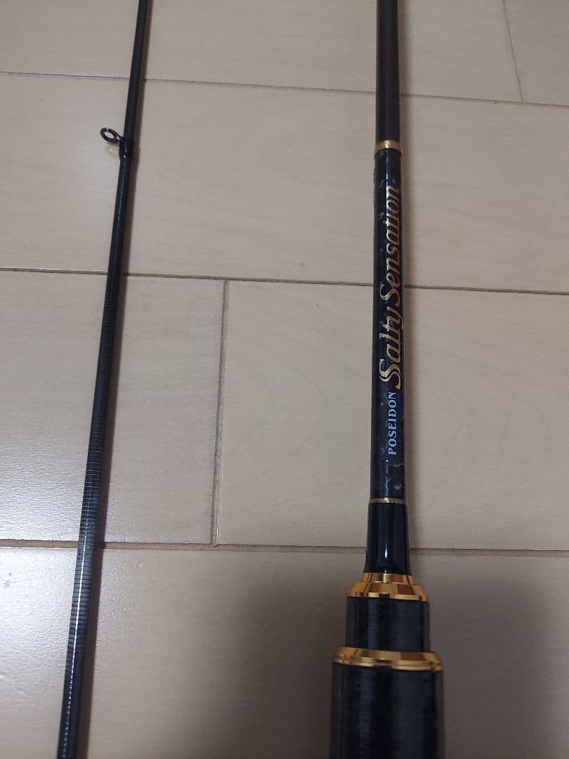 エバーグリーン　ソルティセンセーションPSSS-610リンバーティップ(美品)