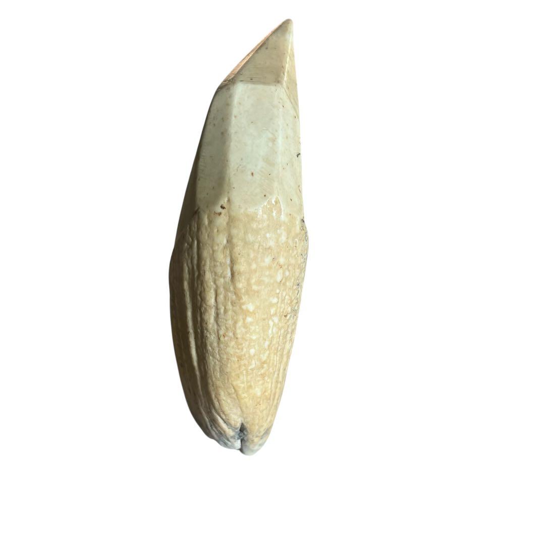 マッコウクジラの歯 ペンギン置物　鯨の歯