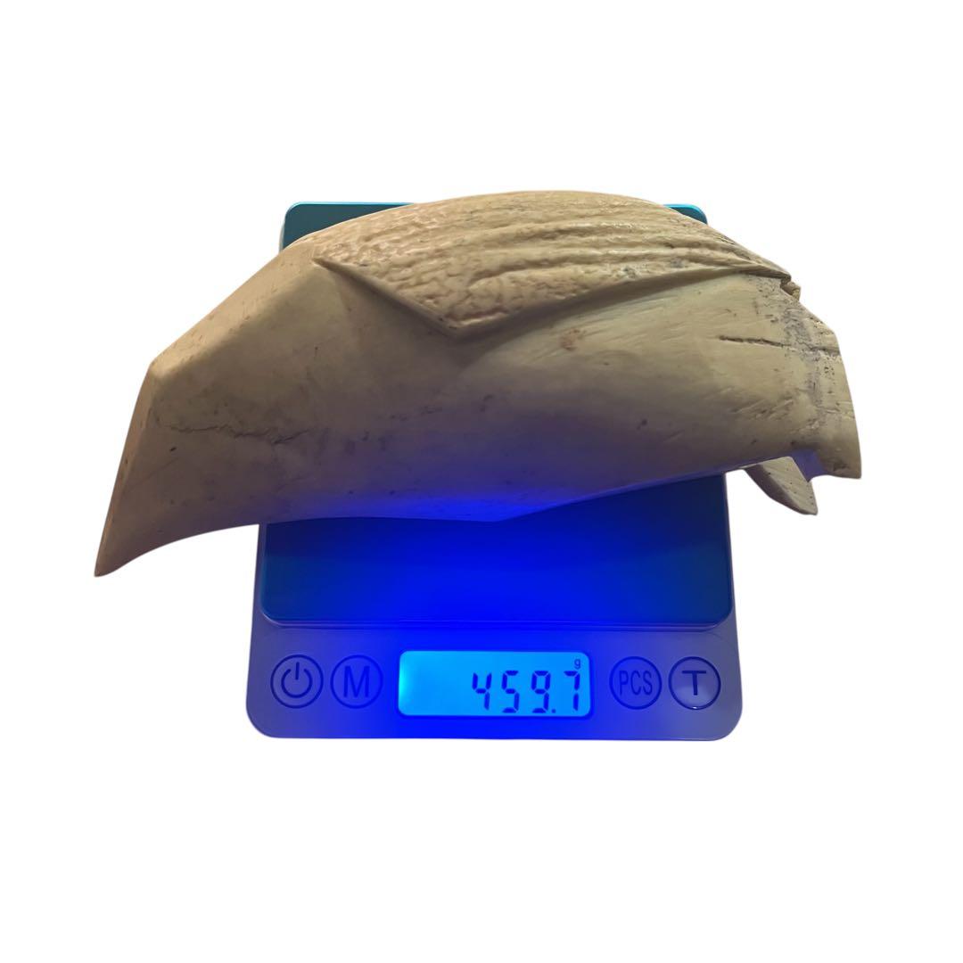 マッコウクジラの歯 ペンギン置物　鯨の歯