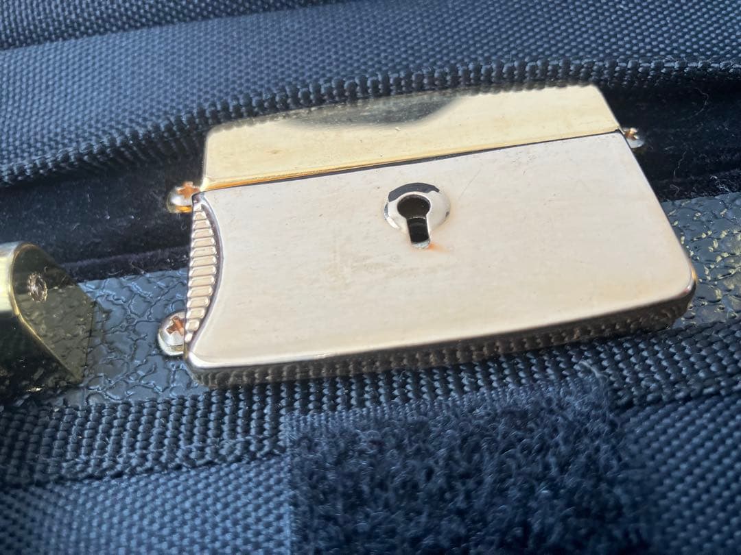 バイオリンケース　スーパーライト　黒