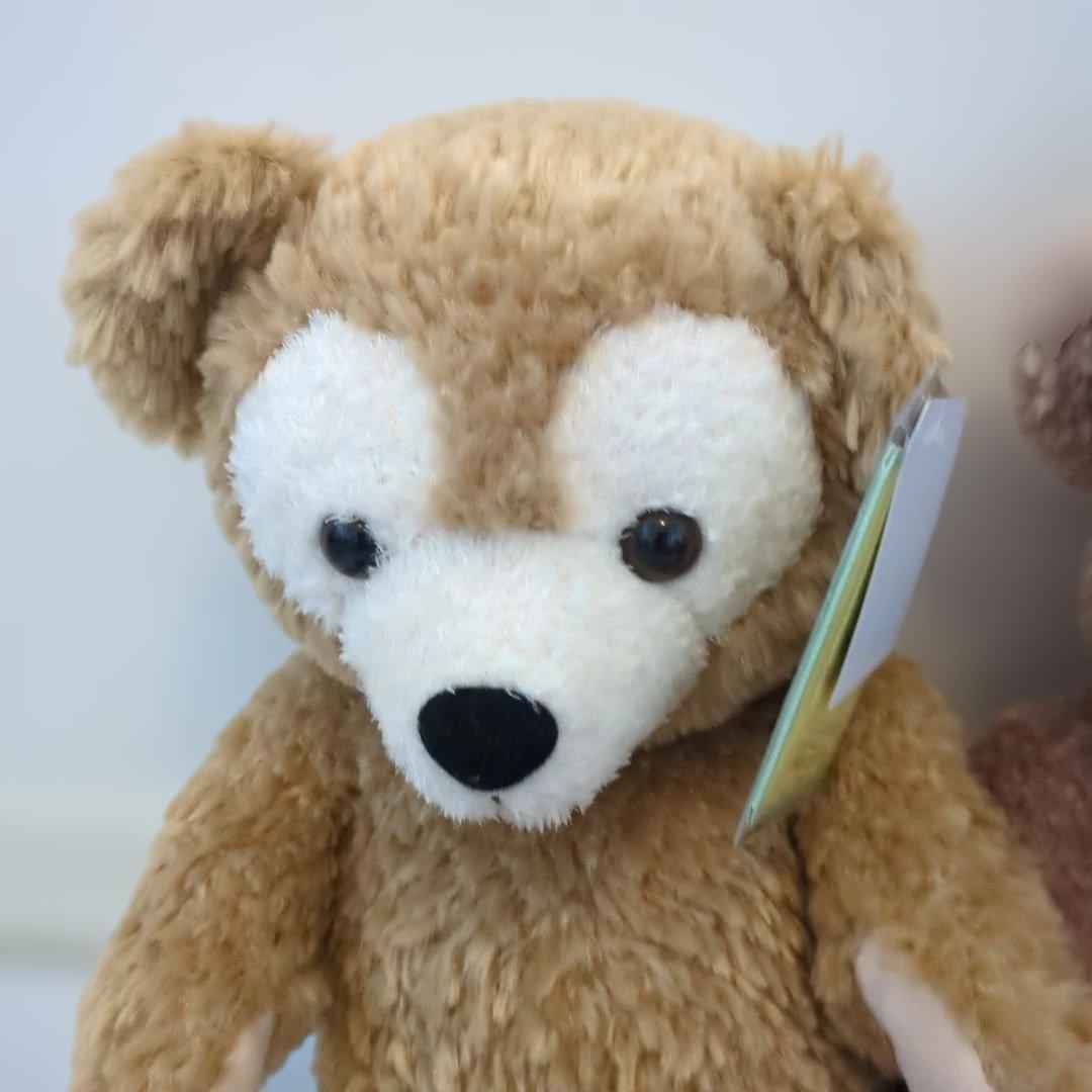 新品タグ付き　ダッフィーとシェリーメイ ぬいぐるみ　２体セット　ディズニー