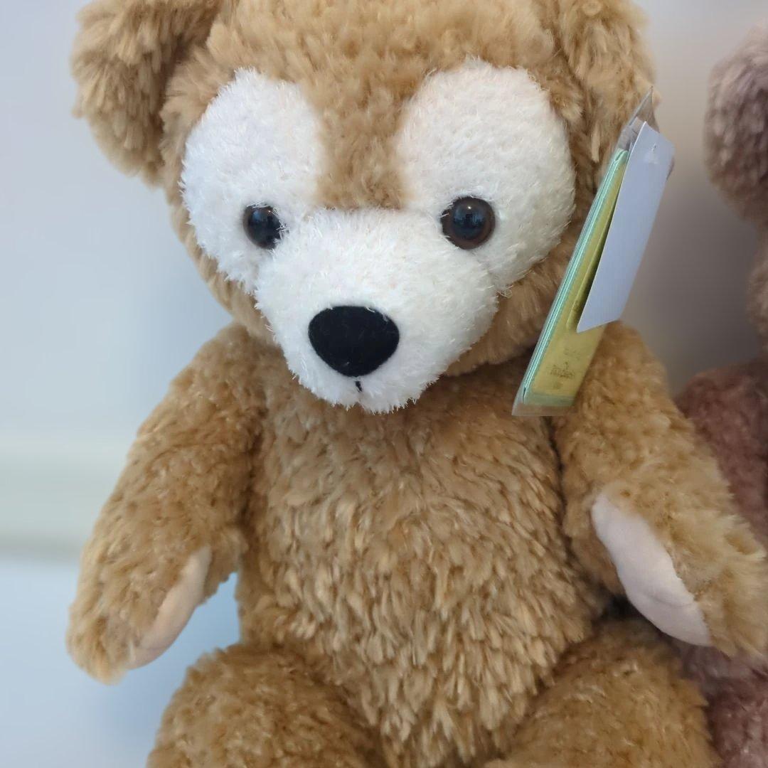 新品タグ付き　ダッフィーとシェリーメイ ぬいぐるみ　２体セット　ディズニー