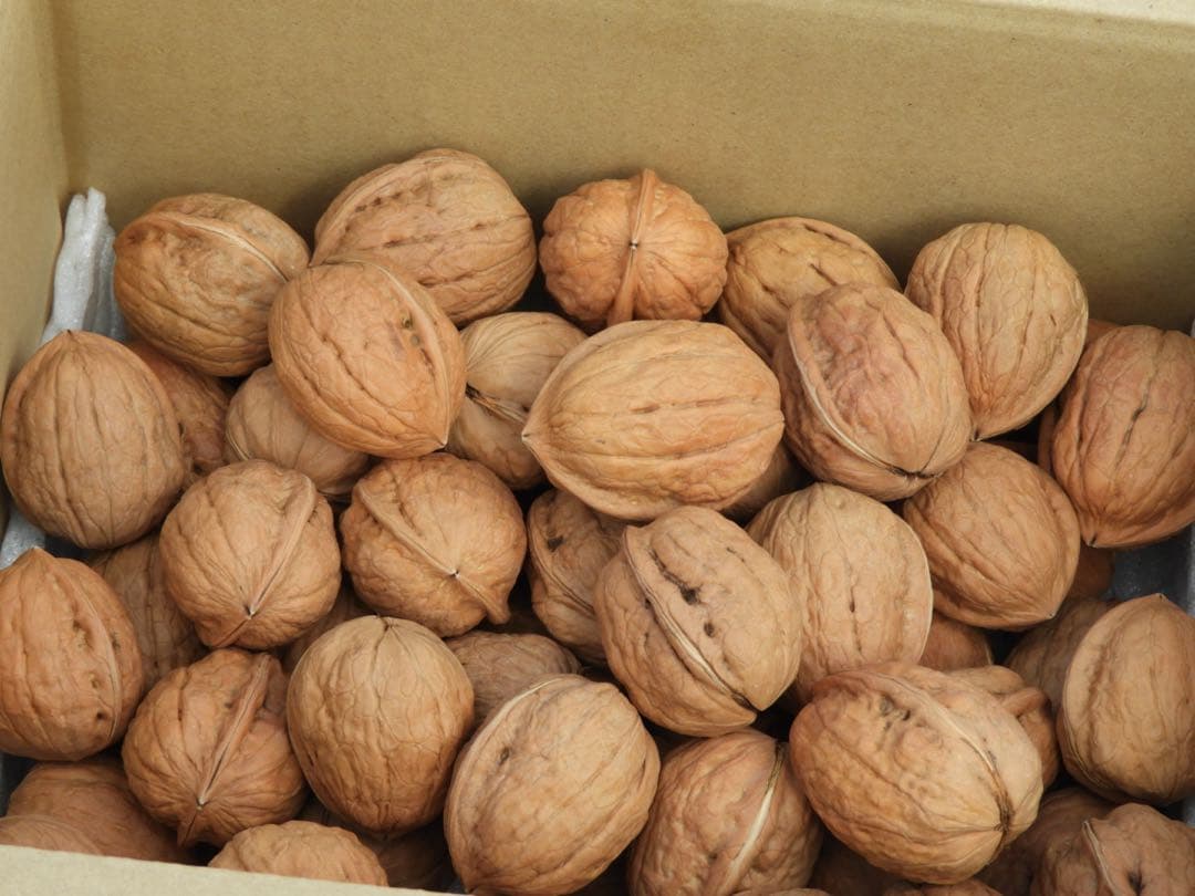 信濃くるみ【大きいサイズ】2キロ