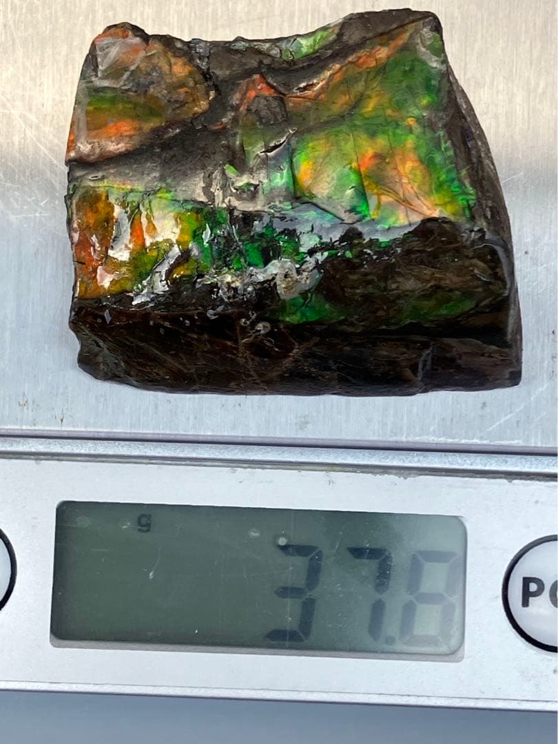 化石　原石　アンモライト　アンモナイト　カナダ産　幅4.1cm 置物　箱付き