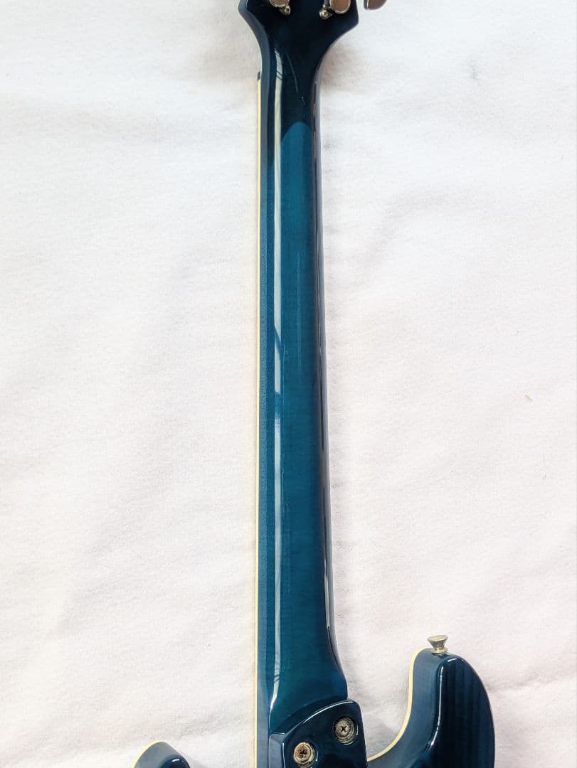 FERNANDES APG-55S Blue フェルナンデス　サスティナー