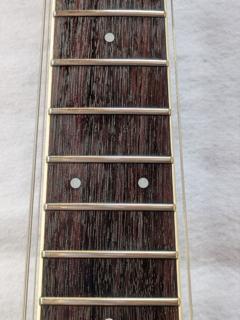 FERNANDES APG-55S Blue フェルナンデス　サスティナー