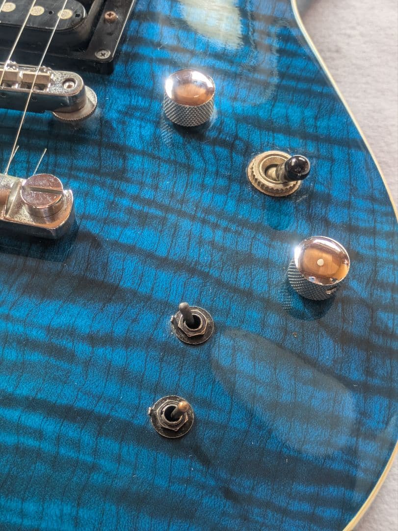FERNANDES APG-55S Blue フェルナンデス　サスティナー