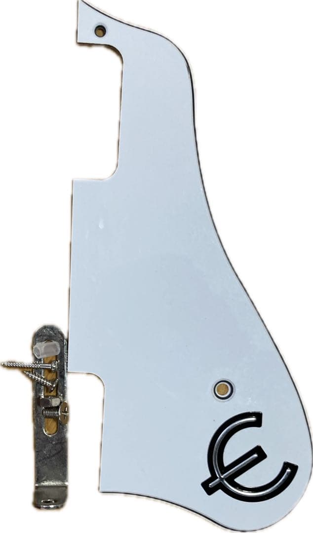 【最終値下げ】【厚手ケース付属】Epiphone Casino Coupe