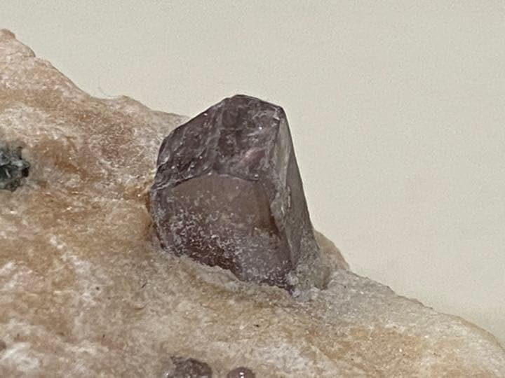 スキャポライト 162g