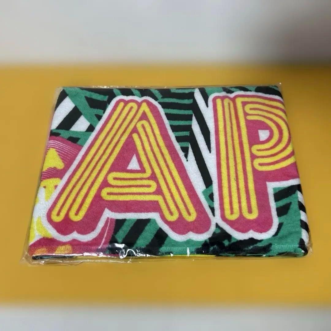 AAAグッズ 15点まとめ売り 「パンフ、ファイル、タオル、Tシャツ、他」