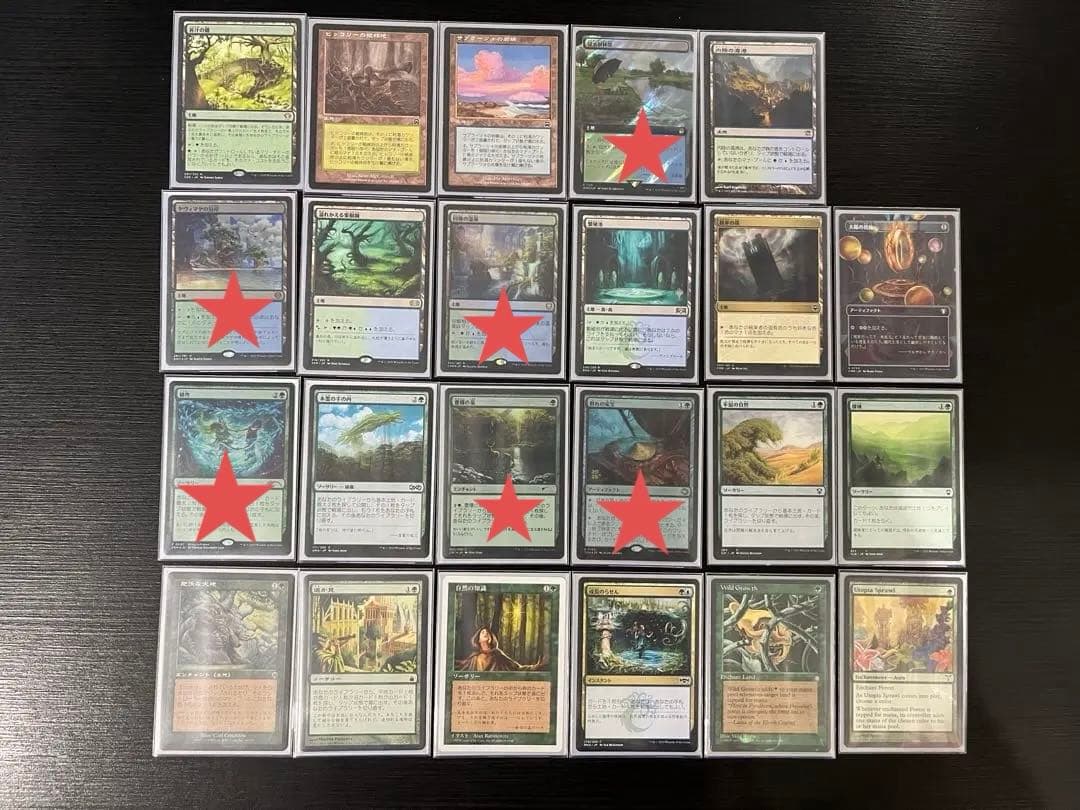 進化した謎、ヴァニファール　統率者デッキ　構築済み　EDH MTG