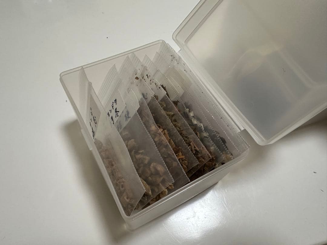 【最終処分価格❗️】生薬標本セット 75種 教示用