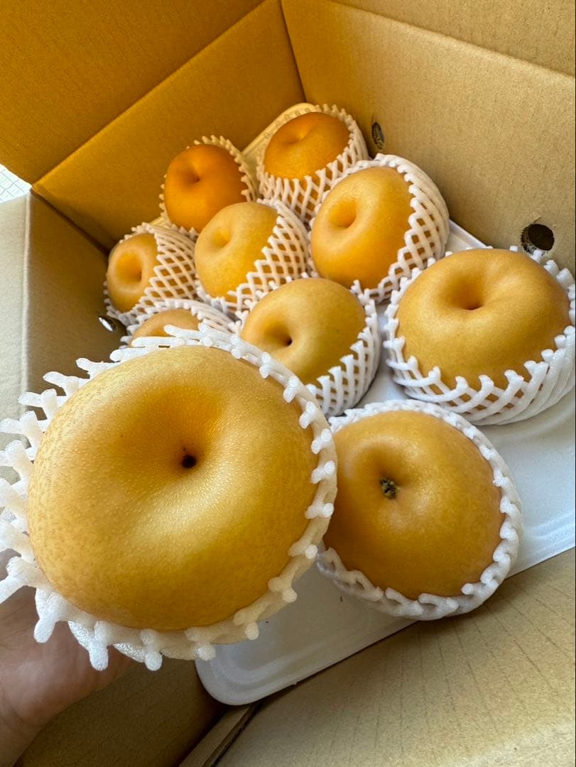 梨　新高梨　10玉を2箱　02