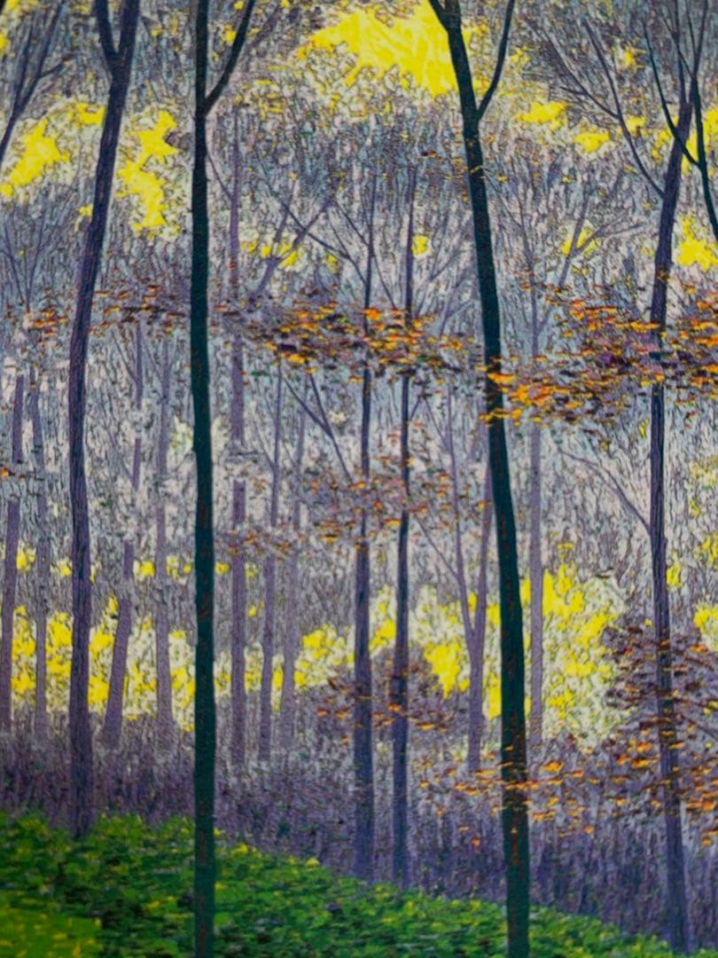 風景 絵画 （H）