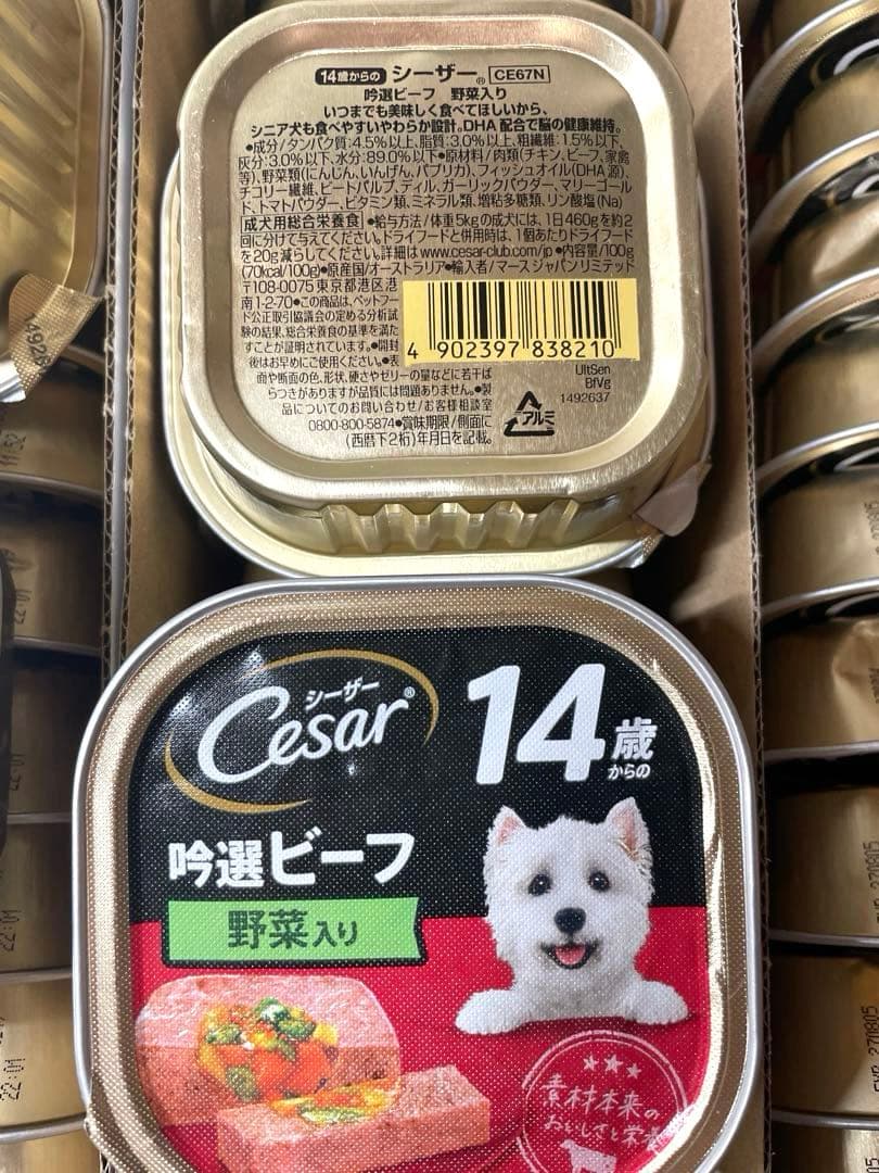 シーザー　ウェットフード　14歳以上　シニア　シニア犬の食事