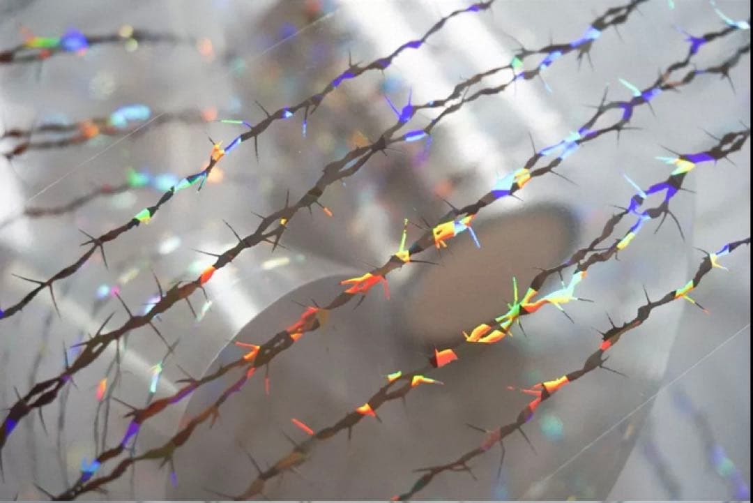 贝壳银 铁刺2 5m 海外マスキングテープ