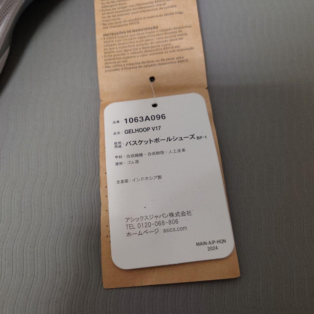 バスケットボールシューズ GELHOOP V17 26.0cm