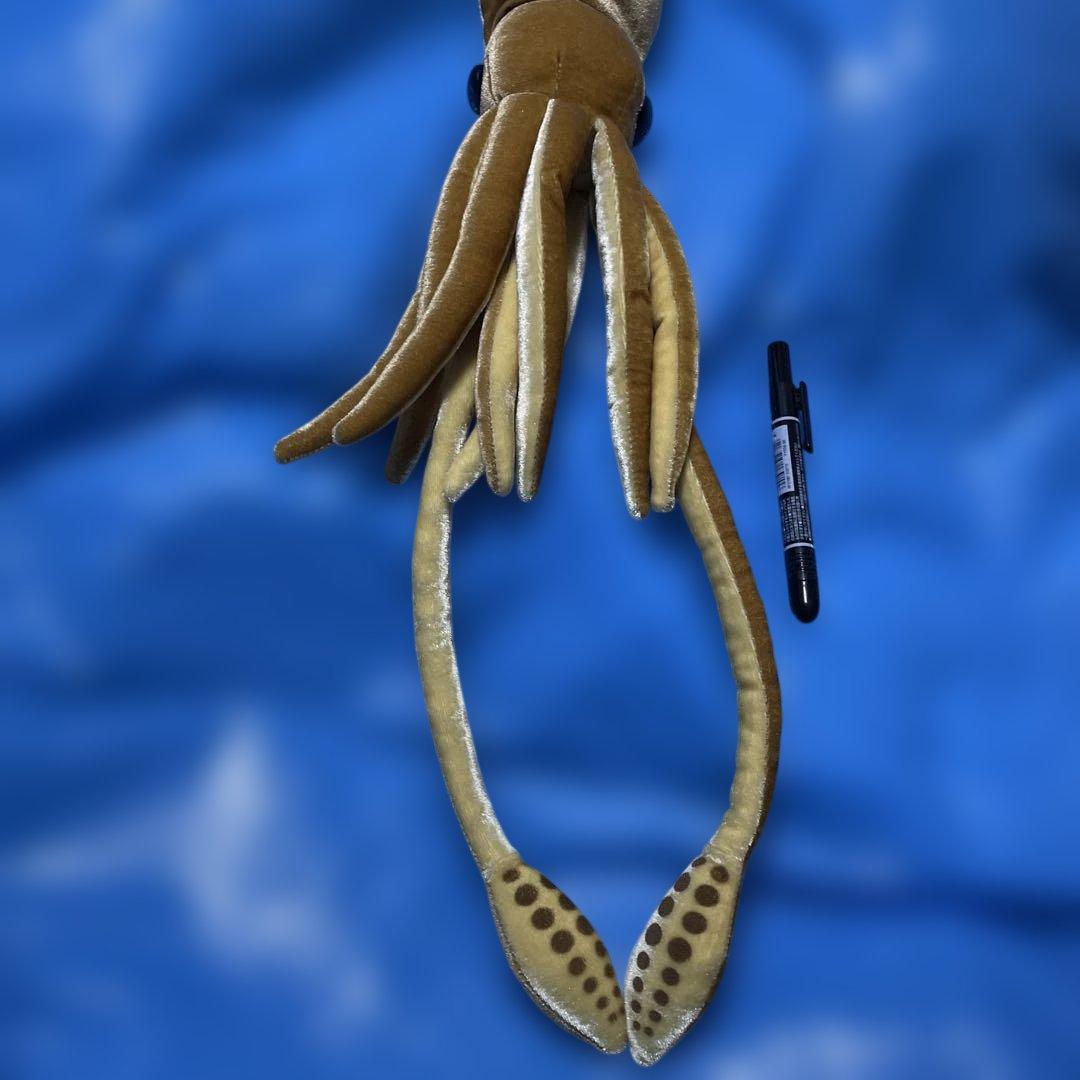 ダイオウイカのぬいぐるみ