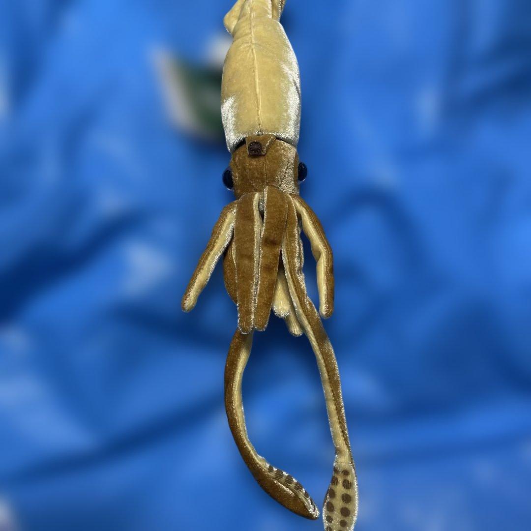 ダイオウイカのぬいぐるみ
