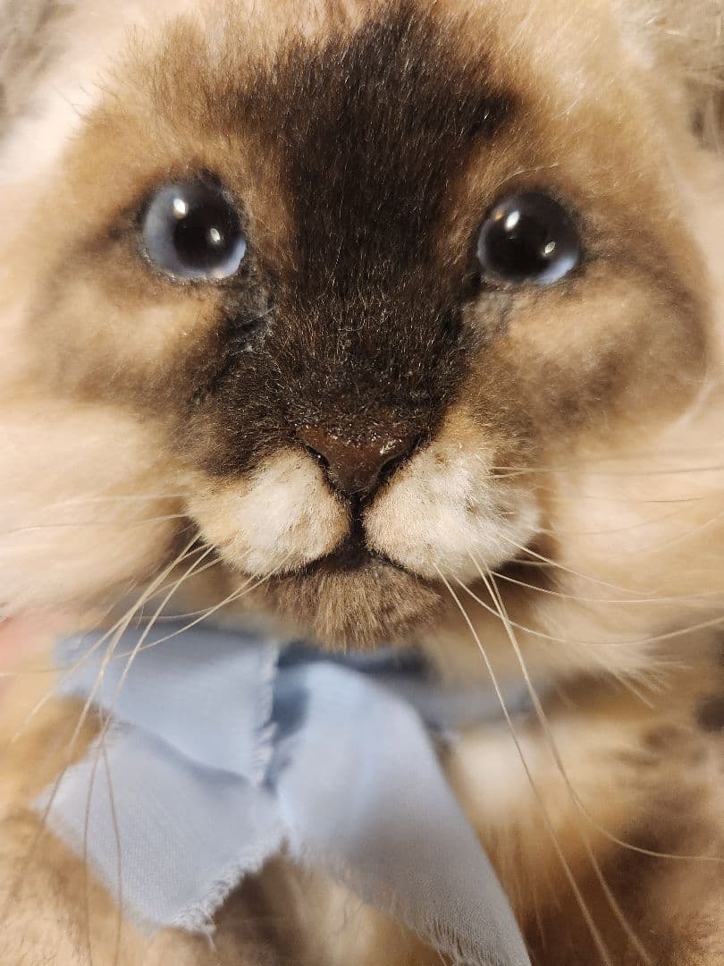 猫 海外作家 リアル アートドール ブライス テディベア