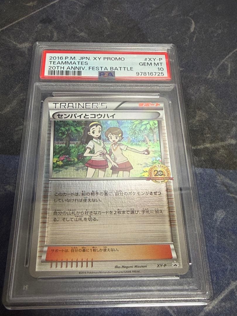 【PSA10】ポケモンカード センパイとコウハイ 20th プロモ XY-P