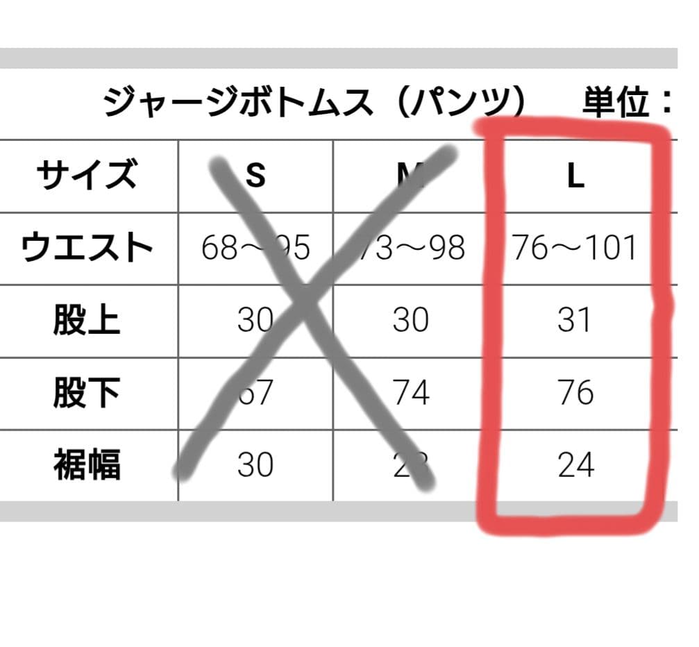 BEAMS ハロプロジャージ（モーニング娘。）Lサイズ　ボトムス　パンツ　未着用