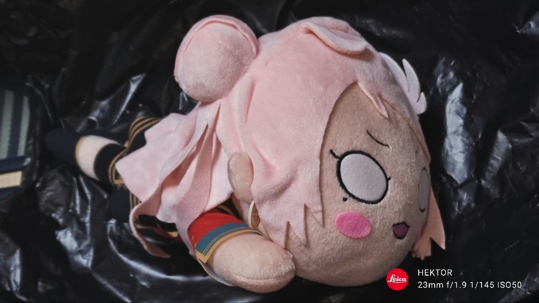 ラブライブ 虹ヶ咲 鐘嵐珠 Mサイズ寝そべりぬいぐるみ Queendom