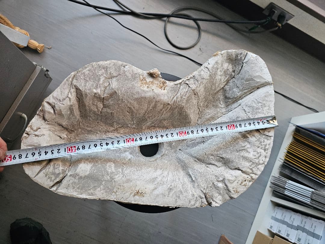 フランスの石膏型の蓋部分 アンティーク ヴィンテージ オブジェ シャビー