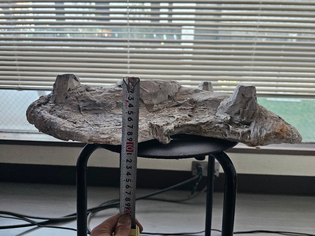 フランスの石膏型の蓋部分 アンティーク ヴィンテージ オブジェ シャビー