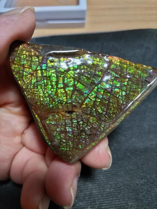 アンモライト 標本 両面 アンモナイト ドラゴンスキン おまけ