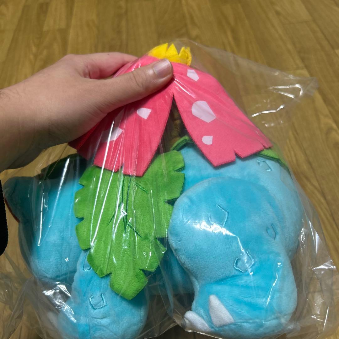 ポケモン BIG 大サイズ ぬいぐるみセット リザードン カメックス フシギバナ