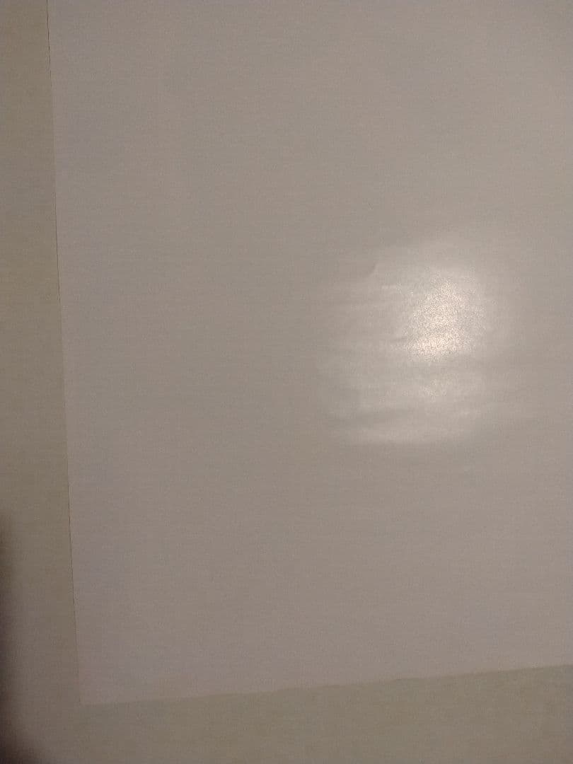 幻夢戦記レダ　いのまたむつみ　B2サイズ　ポスター　当時物