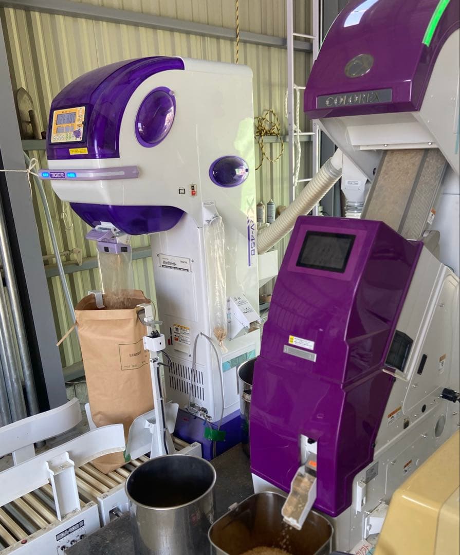 Natural farming自然栽培玄 免疫活性化伊藤悦男 アポトーシス 食養