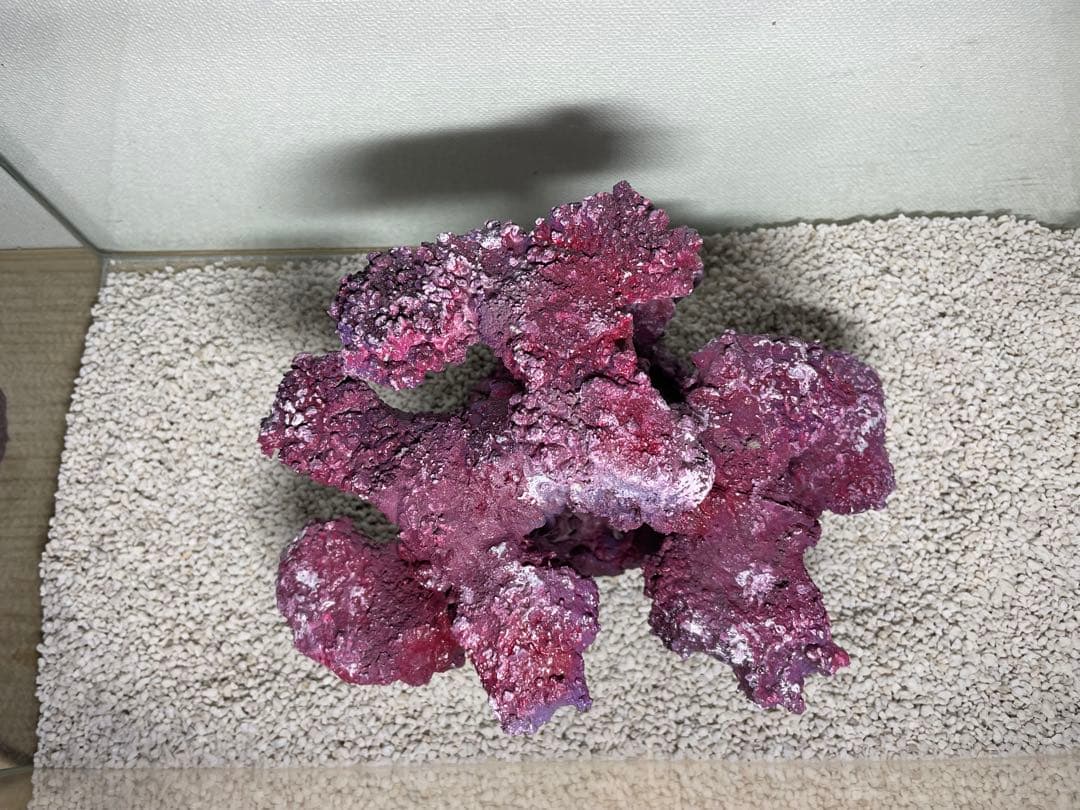 現品在庫SALE！人工ライブロック　SHR24 アク抜き済み安心塗料使用