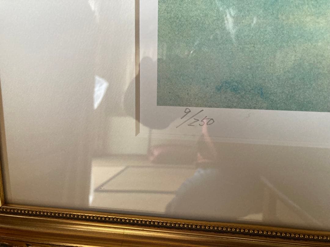 朱富士(あかふじ) 神崎淳 シルクスクリーン 9/250 サイン入り