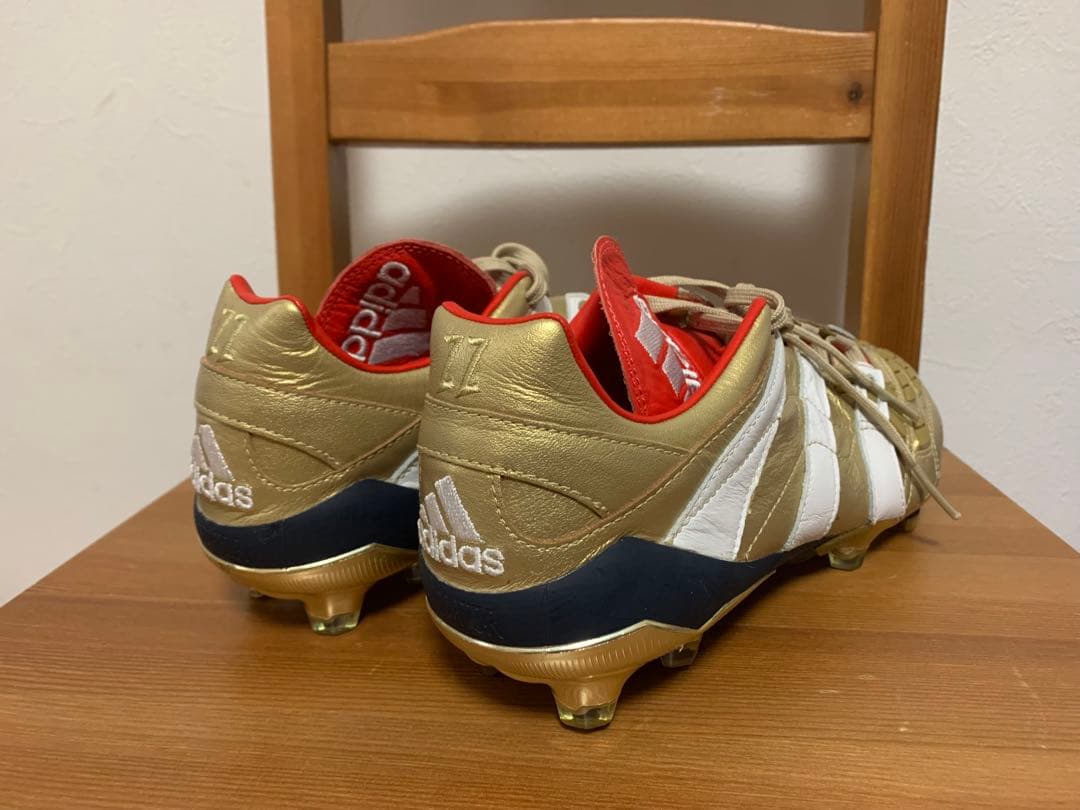 プレデターアクセレレイター　PredatorAccelerator　26cm新品