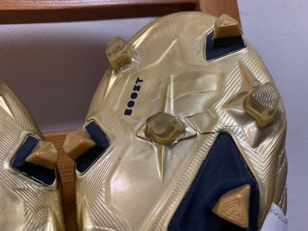 プレデターアクセレレイター　PredatorAccelerator　26cm新品