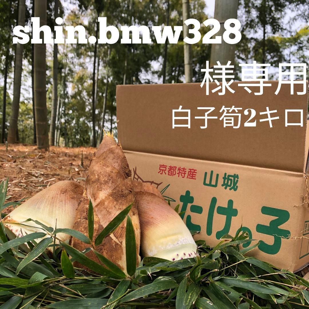 shin.bmw328　白子筍2キロ
