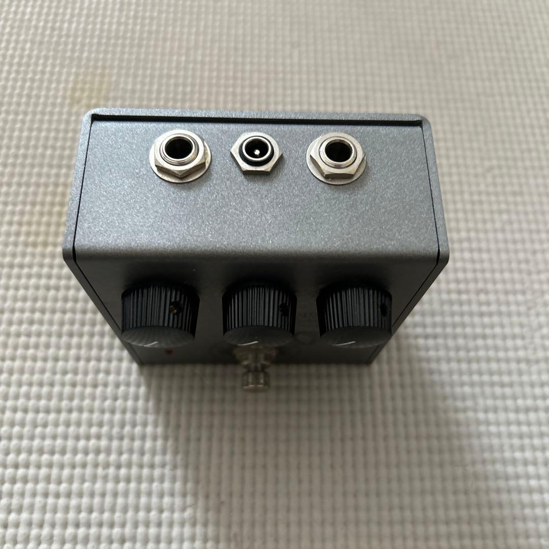 ギター organic sounds ARES