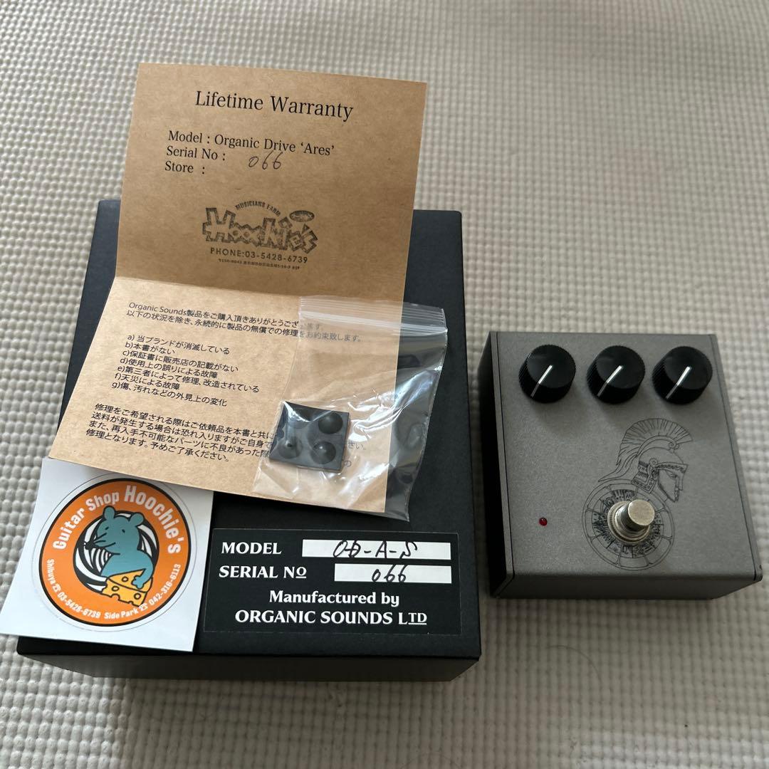 ギター organic sounds ARES