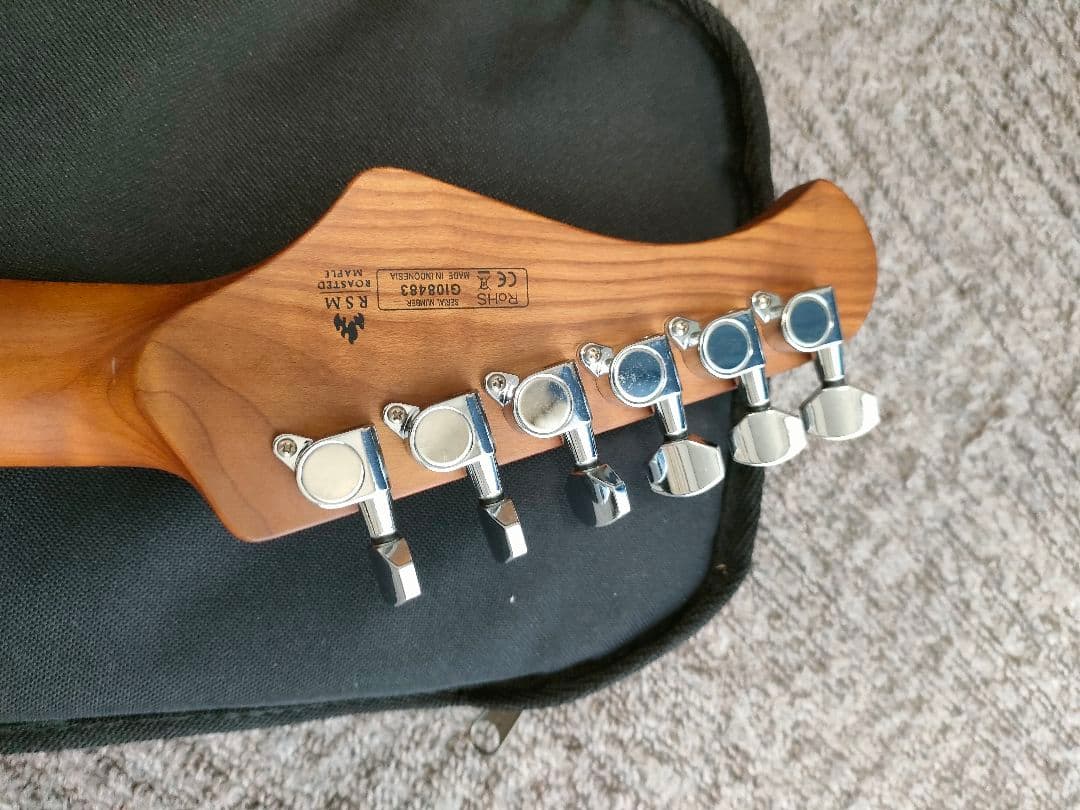 Bacchus SGS-ASH RSM　フレット90%以上 グローバルシリーズ